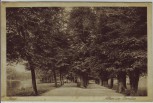 AK Jena Alleen im Paradies 1917