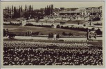 AK Foto Berlin Westend Sommerblumen am Funkturm 1942