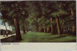 VERKAUFT !!!   AK Rudolstadt Partie im  Stadtpark 1910 RAR