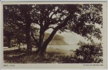 VERKAUFT !!!   AK Insel Vilm Eichen am Badestrand Putbus 1930