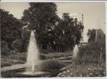 AK Foto Potsdam Blick auf Freundschaftsinsel Hochhaus 1967