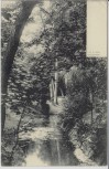 AK Wiesbaden J.Levi Parkpartie mit Bach 1911