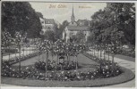 AK Bad Elster Rosengarten 1927