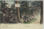 AK Bad Elster Waldquelle 1907