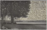 VERKAUFT !!!   AK Flensburg Randershof Gruss von der Flensburger Föhrde Bucht bei der Munkmühle 1904