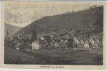 AK Oppenau im Renchtal Ortsansicht 1910