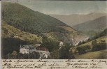AK Bad Peterstal Freyersbach Ortsansicht 1902