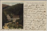 AK Gruss aus Bad Sulzbach im Renchtal Lautenbach 1906