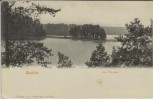 AK Zechlin Am Wumsee bei Rheinsberg Brandenburg 1910