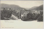 AK Tabarz in Thüringen Blick in den Lauchagrund 1900