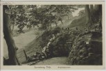 AK Sonneberg in Thüringen Ringleinsbrunnen 1910