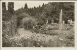 AK Foto Wald-Resstaurant Elfenborn Gartenansicht Varenholz Stemmen Rinteln Weser 1950