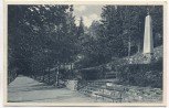 AK Gräfenberg in Schlesien Koppenweg polnisches Denkmal b. Freiwaldau Lázně Jeseník Tschechien 1927 RAR