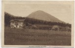 VERKAUFT !!!   AK Forsthaus Arnsdorf mit Kleis b. Haida Nový Bor Tschechien 1924