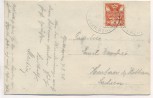 AK Foto Urwald am Kubany Boubín Böhmen Tschechien 1928