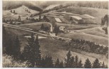 VERKAUFT !!!   AK Manebach in Thüringen Gasthaus Moosbach bei Ilmenau 1924