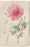 Präge-AK Rote Rose 1908
