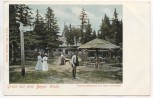 AK Gruss aus dem Bayrischen Wald Unterkunftshaus auf dem Dreisessel mit Menschen b. Neureichenau Haidmühle 1900