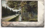 AK Naunhof Waldpartie nach Lindhardt mit Frauen Soldatenkarte 1910