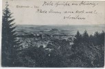AK Bleicherode Total Ortsansicht Thüringen 1925