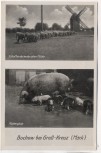 VERKAUFT !!!   AK Bochow bei Groß Kreutz Schafherde an der alten Mühle Mutterglück 1950 RAR