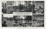 AK Berlin Dahlem Schullandheim Wedding Clay-Allee 6 Bilder Kinder 1954