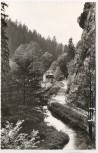 AK Foto Gasthof Waffenhammer b. Stadtsteinach Grafengehaig 1955