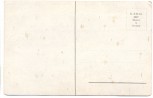 Künstler-AK 3 Katzen nach vorn schauend 1910