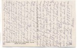 AK Dessau Herzogl. Schloß und Mühle von der Mulde aus gesehen 1915