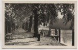 AK Foto Königs Wusterhausen Uferpromenade Neue Mühle 1955
