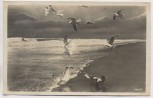VERKAUFT !!!   AK Foto Deep Küstenlandschaft mit Möwen Mrzeżyno b. Greifenberg Gryfice Briefstempel Schießstab Flakbrigade VIII. Pommern Polen Feldpost 1941