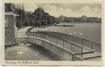 VERKAUFT !!!   AK Merseburg Am Gotthardt-Teich mit Schwänen 1937