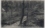 AK Grasleben Wald-Sanatorium Wald Idyll aus dem Park b. Helmstedt 1921 RAR
