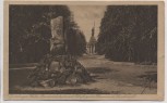 AK Teutoburger Wald Bismarckstein mit Blick zum Hermannsdenkmal b. Hiddesen Detmold 1920