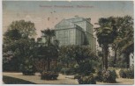 AK Hannover Herrenhausen Palmenhaus 1921