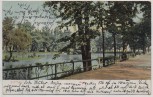 AK Zittau An der Weinau 1910