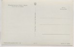 AK Finsterbergen Thüringer Wald Austrieb der Kühe b. Friedrichroda 1959