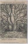 AK Luftkurort Gerolstein Eifel Gerolsteiner Linde 1900