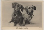 AK Foto Hund Dachshund Teckel Dackel und Rauhaardackel Wir haben uns lieb E.Bohl 1937