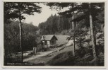 VERKAUFT !!!   AK Foto Dittersdorf (Saalfelder Höhe) Waldpartie im Oberen Werretal b. Schwarzburg Bad Blankenburg 1956