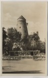 AK Foto Schönebeck-Salzelmen Rosengarten 1954