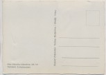 AK Foto Echte Schneider Photokarte Aufnahme R. Hallensleben Windmühle 1940