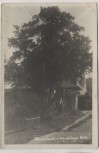 AK Foto Krombach 2000-jährige Eibe Mann vor Haus Krompach b. Liberec Reichenberg Sudeten Tschechien 1943