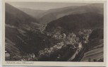 AK Katzhütte oberes Schwarzatal Ortsansicht 1920