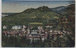 AK Bad Blankenburg Ortsansicht mit Ruine Greifenstein 1919