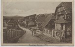 AK Braunlage Oberharz Villen mit Pension 1913