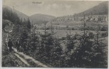 VERKAUFT !!!   AK Manebach Ortsansicht Villen Zug Spaziergänger b. Ilmenau 1912