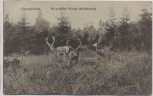 AK Georgshöhe Hirsche im Walde Kolbenzeit b. Thale 1909 RAR