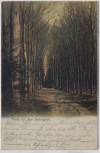 VERKAUFT !!!   AK Partie aus dem Sellingsloh b. Hoyerhagen Hoya 1911