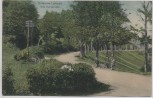 AK Osterode Lerbach alte Harzstraße 1913